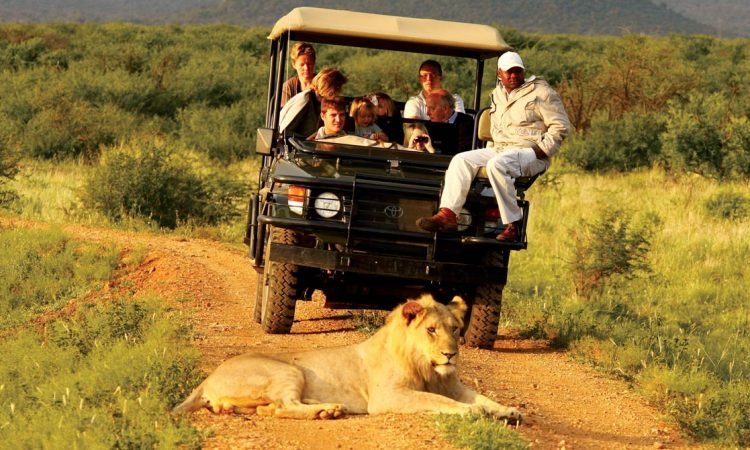 UgandaSafari